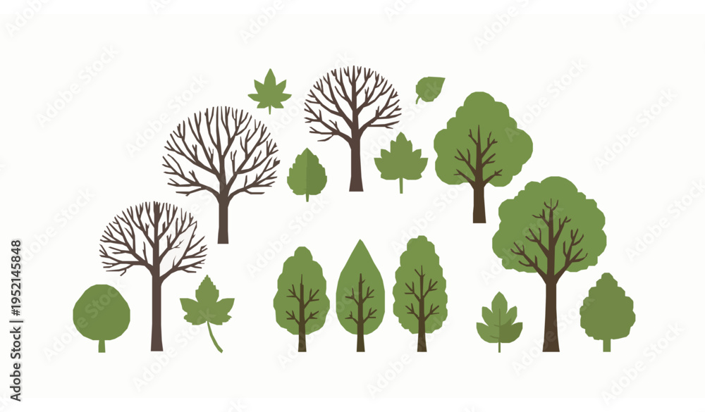 Obraz premium Tree and Leaf Botanical Collection Flat Hand Drawn Vector Illustration