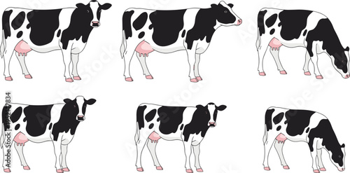 Holstein Friesian Dairy Cow Vector Set with Grazing and Standing Poses for Milk Production Agriculture Farm Animal Branding and Dairy