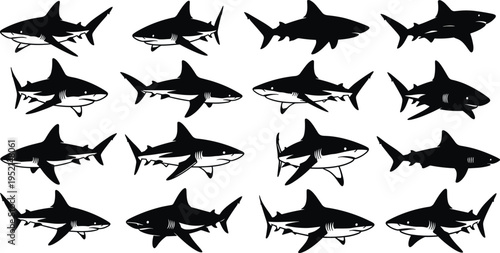 Shark silhouette collection, predatory marine fish icons, ocean wildlife predator symbols, great white and reef shark swimming poses, and underwater sea animal vectors.