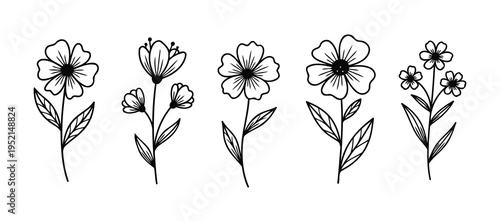 Illustration of Black and white flowers set
