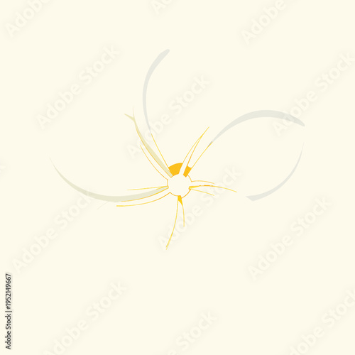 Minimalist flat vector illustration of a single white and yellow plumeria frangipani flower, tropical blossom symbol of summer and relaxation, isolated on white background for spa and wellness concept