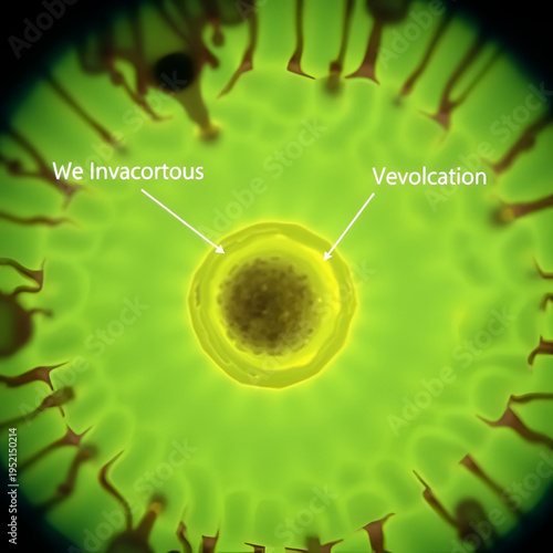 Close-up of plant cell endocytosis under a microscope, highlighting membrane invagination and vesicle formation