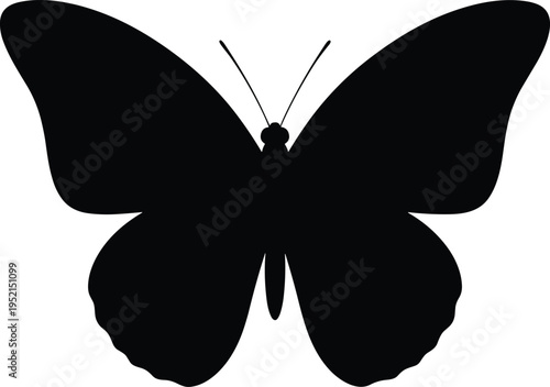 Black butterfly silhouette illustration with symmetrical wings, clean lines, and antennae, representing nature, transformation, beauty, wildlife design, entomology art, and decorative fashion symbol