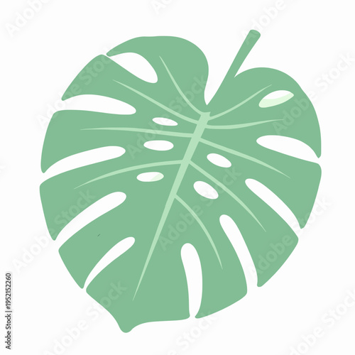 Minimalist flat vector illustration of a single green monstera leaf isolated on white background, organic botanical design element for wellness, spa, and skincare branding concepts.