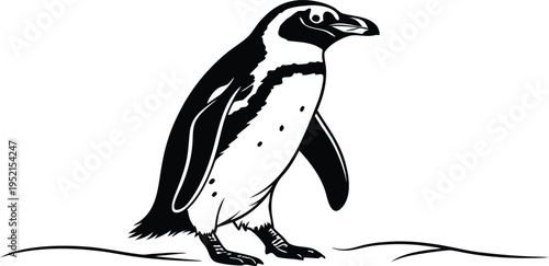 Black and white vector illustration of a walking penguin, perfect for educational materials, wildlife themes, or simple graphic design elements.