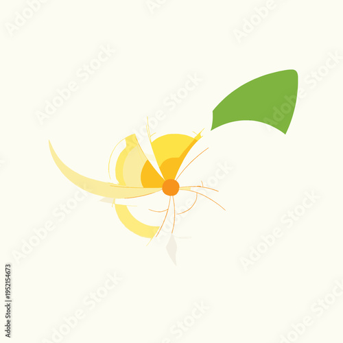 Vibrant single frangipani flower vector illustration, white plumeria with yellow center and green leaf, isolated on white background for Thai Songkran water festival and tropical summer concept.
