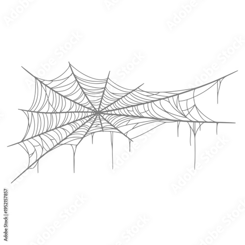 Realistic spider web vector illustration set isolated on transparent background. Creepy cobweb corner decoration for Halloween design, spooky gothic gothic aesthetic, hand-drawn net pattern graphic.