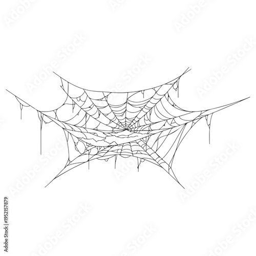 Realistic spider web vector illustration set isolated on transparent background. Creepy cobweb corner decoration for Halloween design, spooky gothic gothic aesthetic, hand-drawn net pattern graphic.