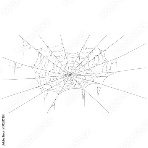 Realistic spider web vector illustration set isolated on transparent background. Creepy cobweb corner decoration for Halloween design, spooky gothic gothic aesthetic, hand-drawn net pattern graphic.