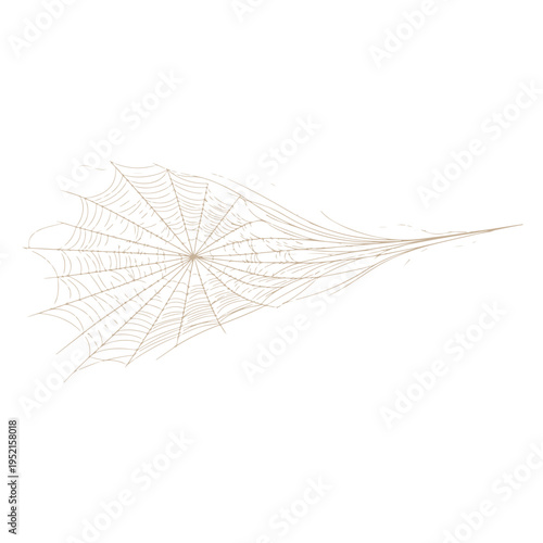 Realistic spider web vector illustration set isolated on transparent background. Creepy cobweb corner decoration for Halloween design, spooky gothic gothic aesthetic, hand-drawn net pattern graphic.