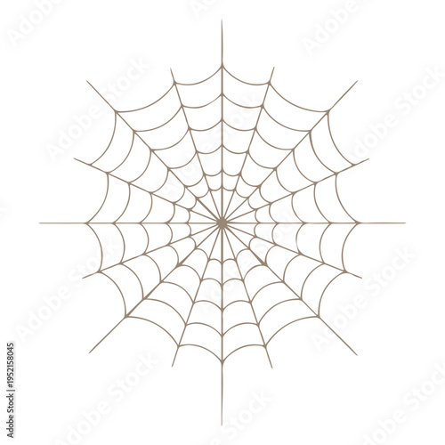 Realistic spider web vector illustration set isolated on transparent background. Creepy cobweb corner decoration for Halloween design, spooky gothic gothic aesthetic, hand-drawn net pattern graphic.