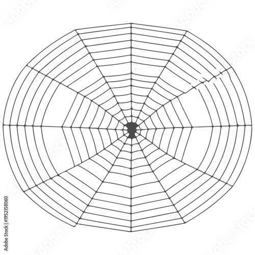 Realistic spider web vector illustration set isolated on transparent background. Creepy cobweb corner decoration for Halloween design, spooky gothic gothic aesthetic, hand-drawn net pattern graphic.