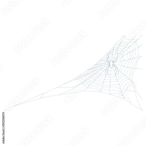 Realistic spider web vector illustration set isolated on transparent background. Creepy cobweb corner decoration for Halloween design, spooky gothic gothic aesthetic, hand-drawn net pattern graphic.