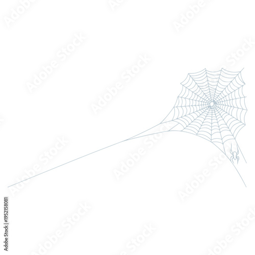 Realistic spider web vector illustration set isolated on transparent background. Creepy cobweb corner decoration for Halloween design, spooky gothic gothic aesthetic, hand-drawn net pattern graphic.