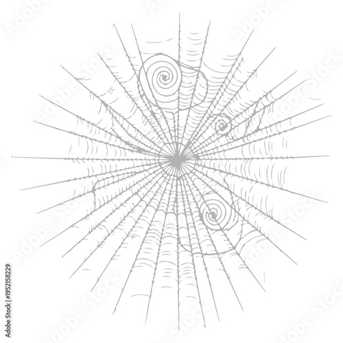 Realistic spider web vector illustration set isolated on transparent background. Creepy cobweb corner decoration for Halloween design, spooky gothic gothic aesthetic, hand-drawn net pattern graphic.