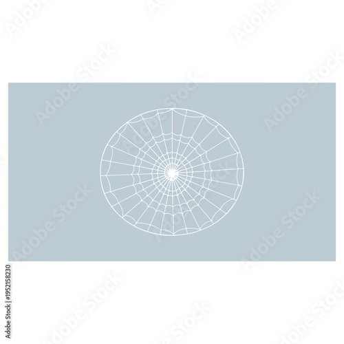 Realistic spider web vector illustration set isolated on transparent background. Creepy cobweb corner decoration for Halloween design, spooky gothic gothic aesthetic, hand-drawn net pattern graphic.
