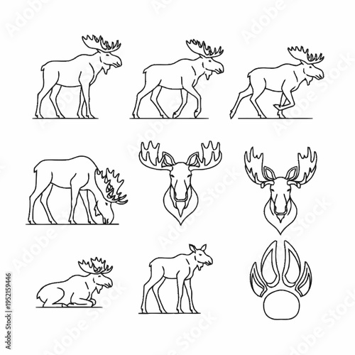 Set of black line art moose icons including bull moose standing, walking, running, grazing, and lying down, plus moose heads with antlers, a calf, and a hoof print track on white.