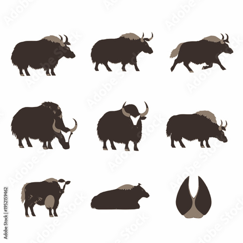 Flat vector illustration set depicting domestic yaks in various poses including walking, grazing, standing, and resting, with a cloven hoof print icon isolated on white background.