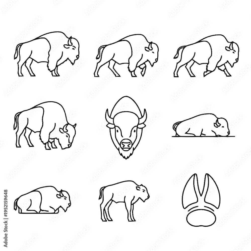 Fototapeta premium Set of nine minimalist black line art icons featuring American bison in different poses including walking, grazing, resting, head portrait, calf, and cloven hoof print track.