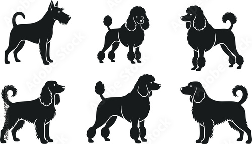 Set of six dog breed silhouettes including terrier, poodle, and spaniel, showcasing grooming styles, canine outlines, and pet design elements