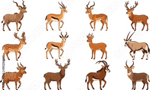 Detailed Hand Drawn Wild Deer and Antelope Vector Illustration Set Featuring Gazelle, Kudu, Impala, and Stag Characters for Nature Education and Wildlife Branding