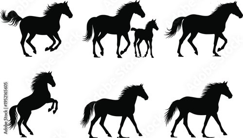 Horse silhouettes collection featuring running, standing, and rearing poses, black equine vector set isolated on light background, perfect for farm, ranch, and wildlife designs