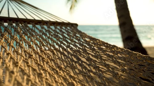 Hammock on a tropical beach, vacation scene