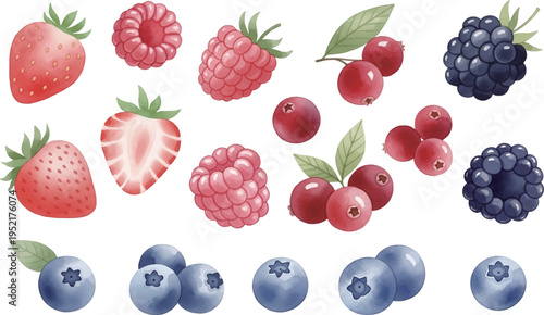 色んなベリーの水彩風イラストのつめ合わせ