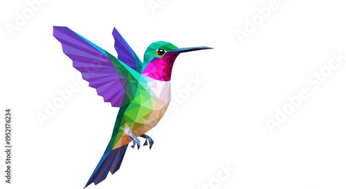 Colorful Hummingbird in Flight Profile.