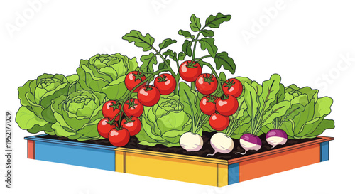 Raised Garden Bed with Fresh Vegetables: Tomatoes, Lettuce, Radishes, Turnips