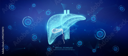 Translucent polygon liver organ connected medical technology network icons. Cyborg human collaboration. Health care technology digital. Banner vector.