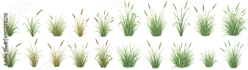 Watercolor Wild Grass Collection