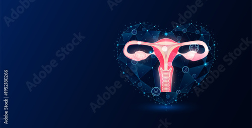Human organ uterus in polygon heart blue glowing transparent. Medical science icons. Protection health care. Banner empty space for text. Vector EPS10.