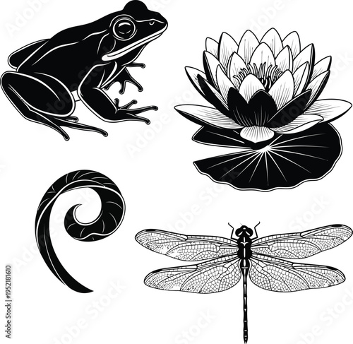 Insects and amphibians in nature illustration