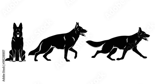 Silhouettes of german shepherd dog in various poses sitting walking and running isolated on white background vector