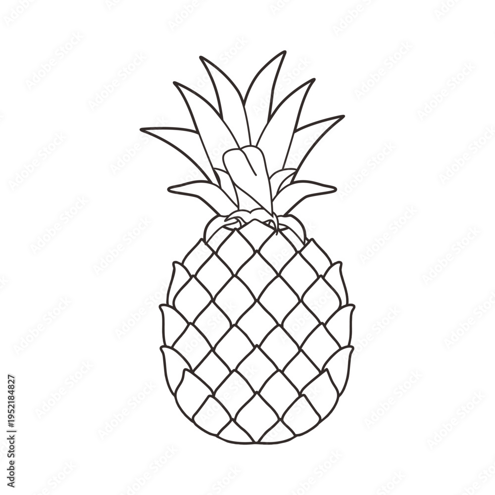 Obraz premium Black and white pineapple vector illustration