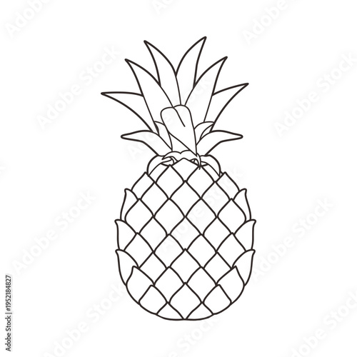 Black and white pineapple vector illustration