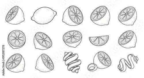 Hand-drawn Lemon Illustrations: Whole, Halved, Sliced, and Zested