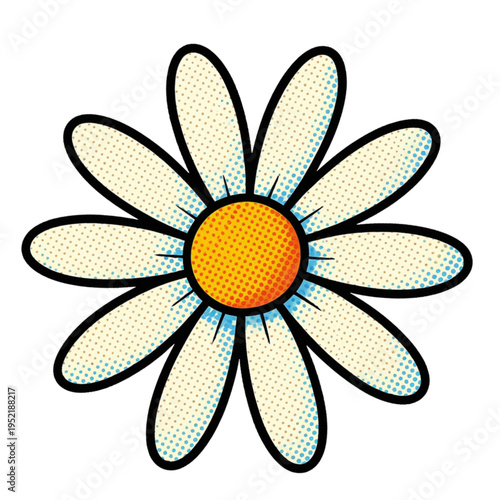 daisy flower isolated on white