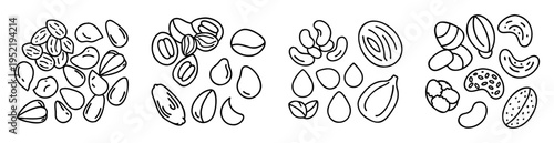Black and white outline illustration of various nuts and seeds groupings