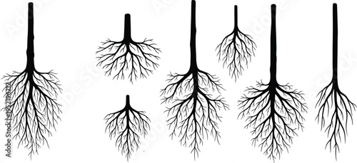 Set of black tree root silhouettes with underground root systems and trunk bases for botanical nature and environmental vector design