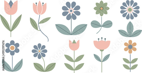 Minimal Scandinavian Floral Set with Simple Nordic Flowers Leaves and Pastel Botanical Elements Vector Illustration Collection