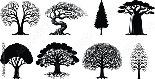 Collection of diverse tree silhouettes including baobab cypress and windswept styles with intricate branch structures for nature landscape and environmental graphic design