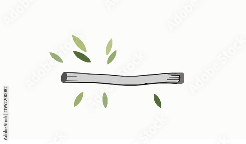 Herbal miswak dental care natural hygiene vector illustration