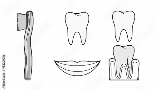 Islamic dental care icon set miswak tooth vector illustration