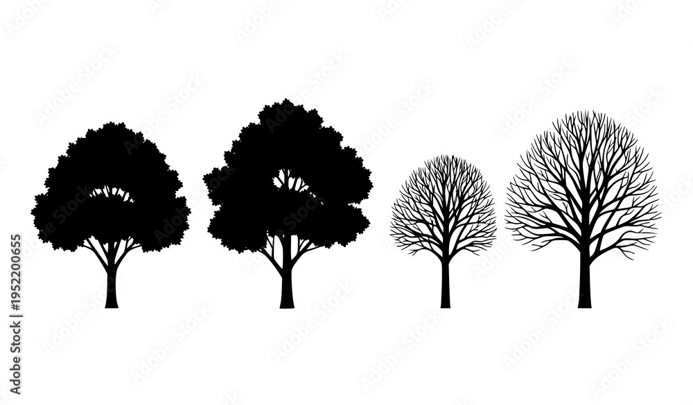 Fototapeta premium Tree silhouette vector set showing seasonal transition with leafy and bare trees isolated on white background