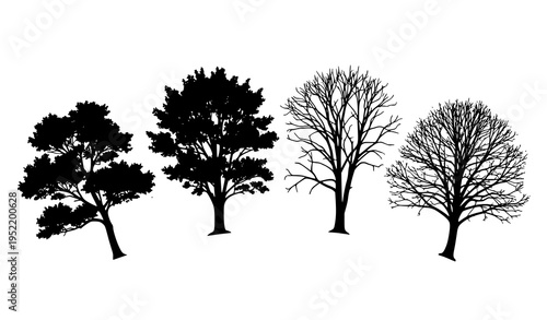 Hand drawn tree silhouette collection with leafy and bare trees illustrating seasonal change and growth stages
