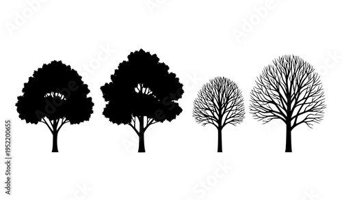 Tree silhouette vector set showing seasonal transition with leafy and bare trees isolated on white background