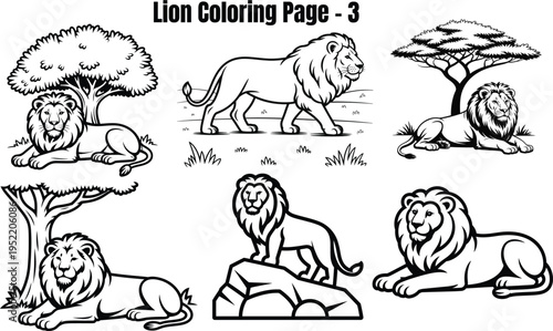 Lion in various poses and settings lions animal wildlife