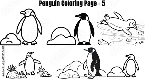 Penguin on white background for coloring penguins coloring page